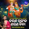 About Charana Pankaja Sarana Bina Song